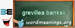 WordMeaning blackboard for grevillea banksii